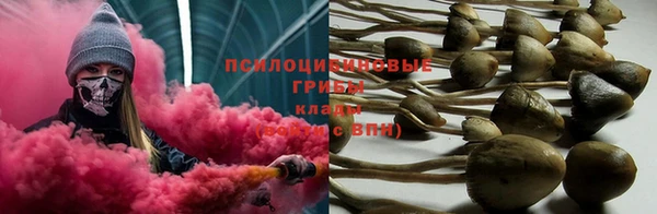 бошки Арсеньев