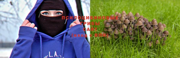 МДПВ Аркадак